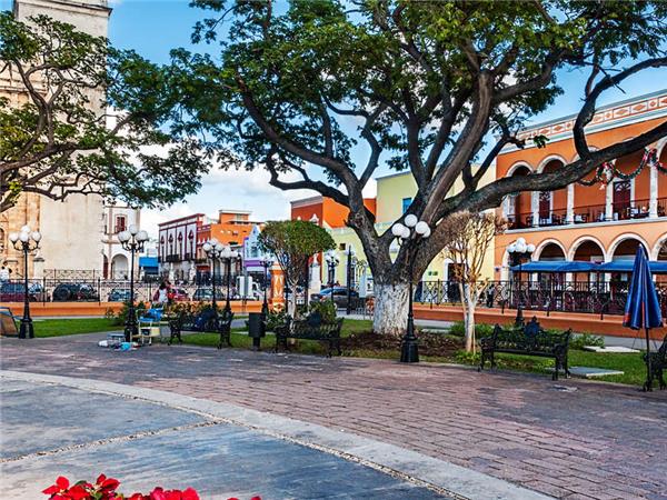 Mexico food vacation