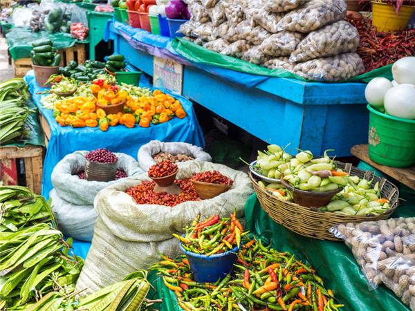 Mexico food vacation