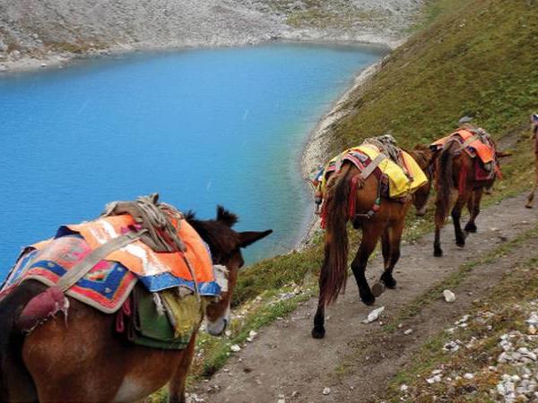 Great Himalaya Trail trek across Nepal | Responsible Travel