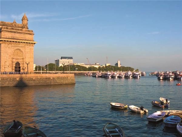 Gujarat tour, tribes and wildlife, India