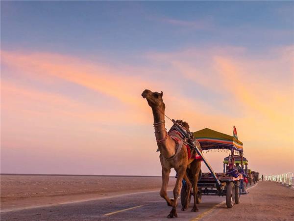 Gujarat tour, tribes and wildlife, India