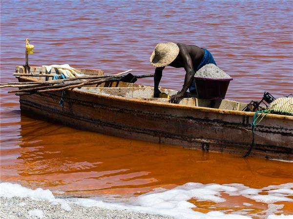 Senegal and Gambia river cruise