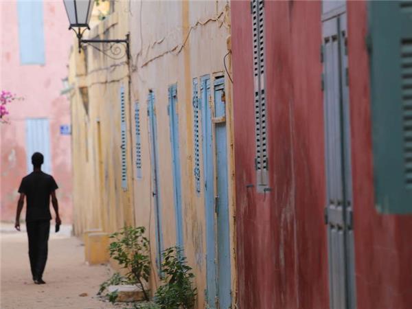 Senegal and Gambia river cruise