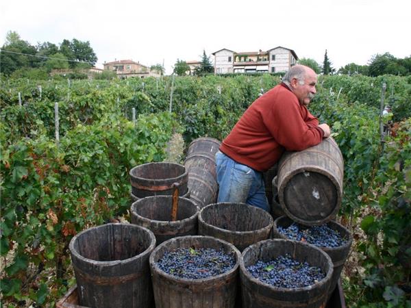 Tuscany self guided cycling vacation in Italy