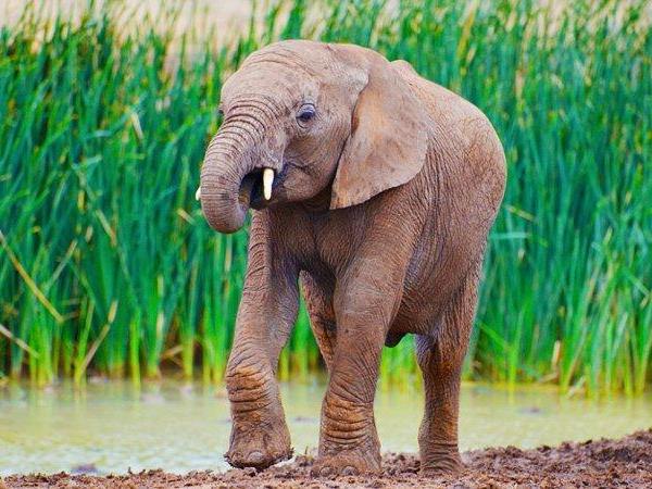 South Africa Garden Route vacation, 9 days