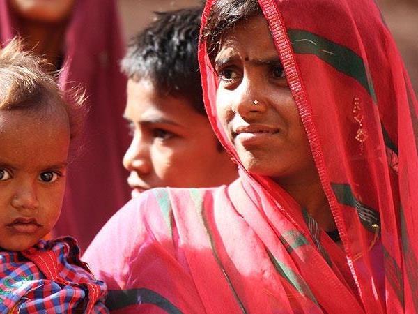 Rajasthan culture and wildlife tour