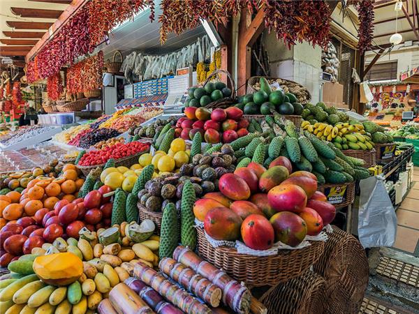 Madeira island vacation