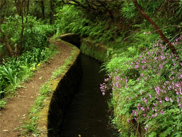 Madeira island vacation