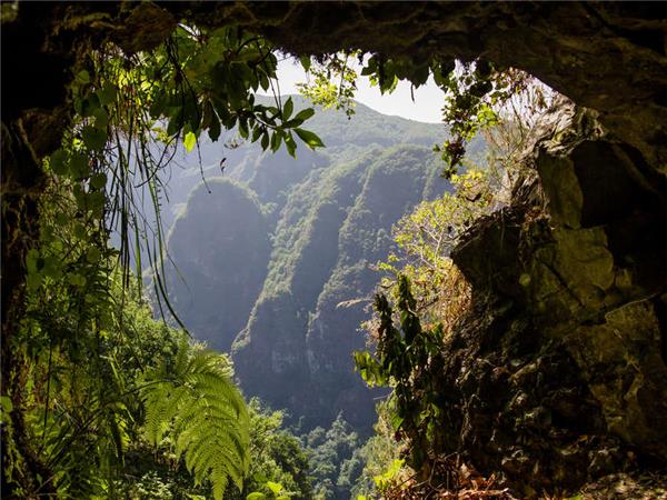 Madeira island vacation in comfort