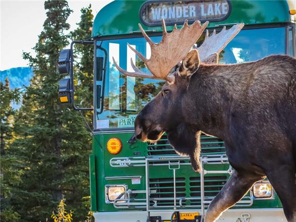 Outdoor Alaska vacation