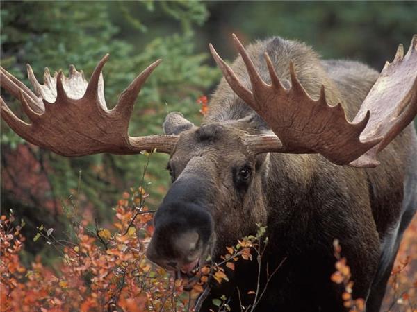 Outdoor Alaska vacation