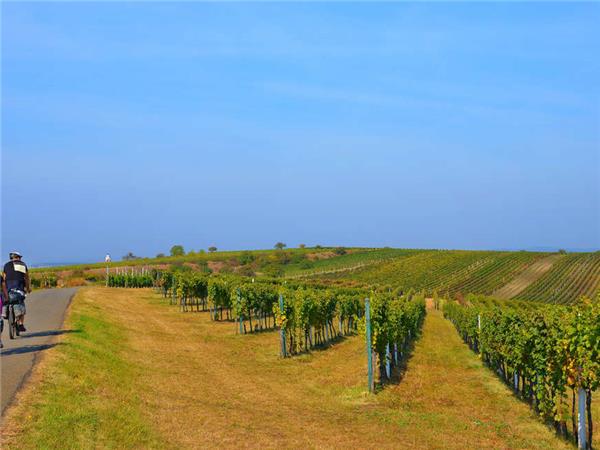 Prague to Meissen cycling vacation