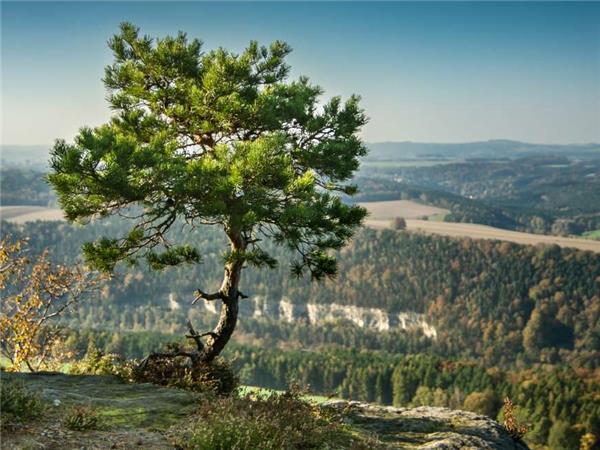 Prague to Meissen cycling vacation