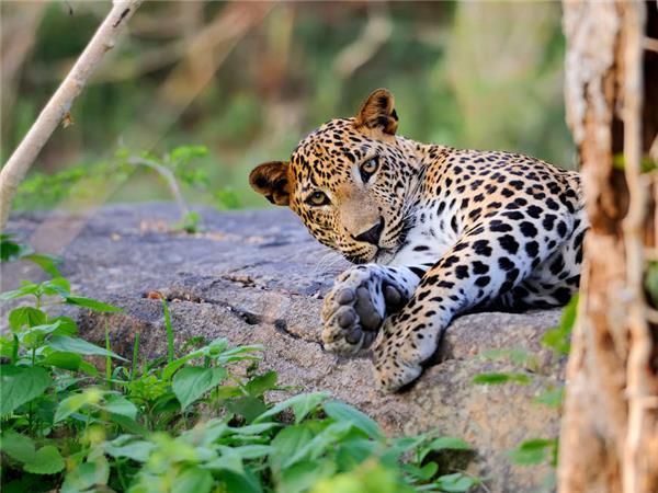 Family highlights of Sri Lanka vacation