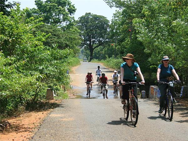 Small group vacation to Sri Lanka