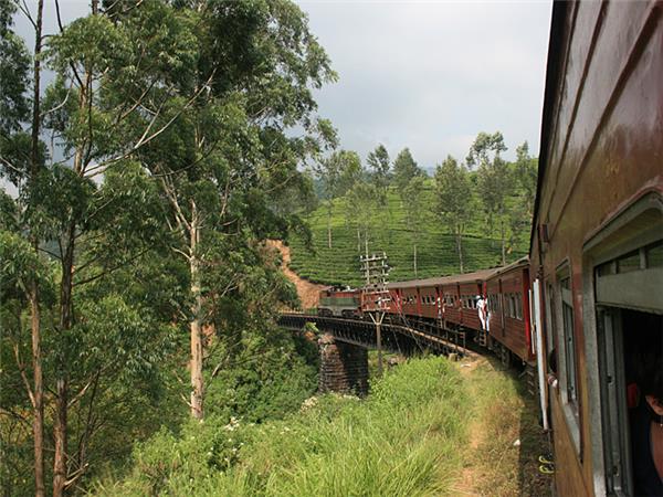 Small group vacation to Sri Lanka