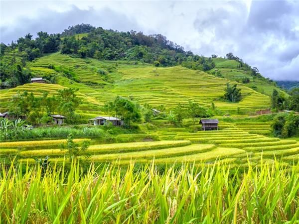 Vietnam in depth family vacation