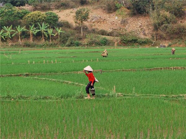 Vietnam in depth family vacation