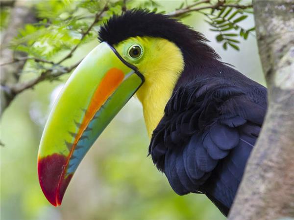 Costa Rica and Nicaragua walking vacation