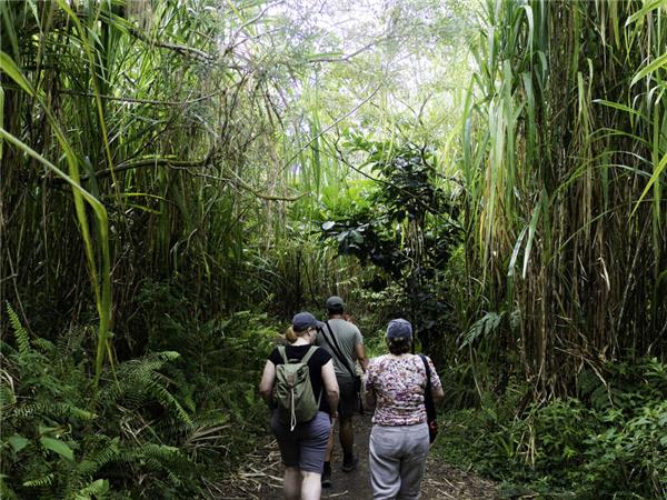 Costa Rica and Nicaragua walking vacation