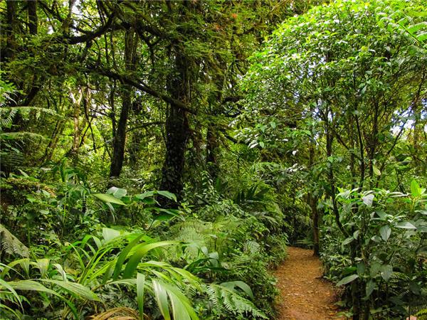 Costa Rica and Nicaragua walking vacation