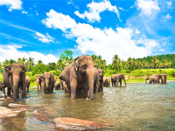 Active Sri Lanka vacation
