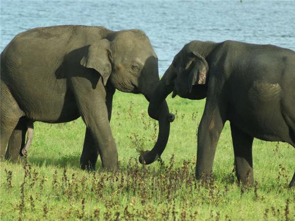 Secrets of Sri Lanka holiday