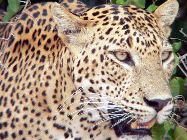 Secrets of Sri Lanka holiday
