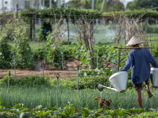 Vietnam food and culture vacation
