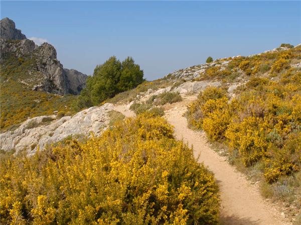 Alicante walking vacation in Spain