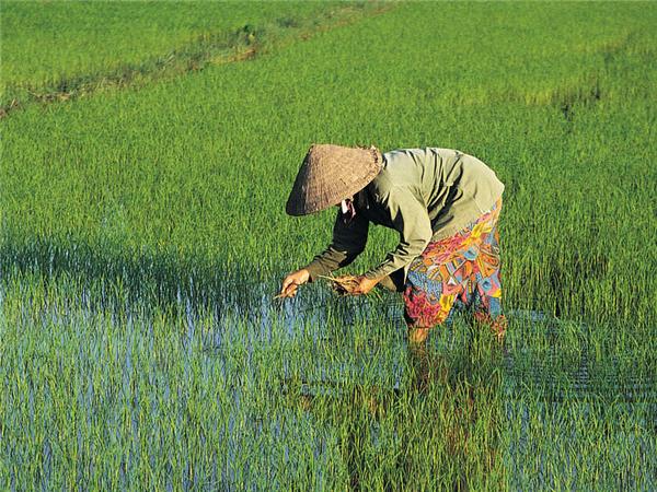 Vietnam in depth vacation, small group