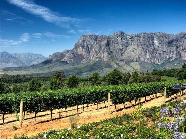 Cycling vaction in South Africa