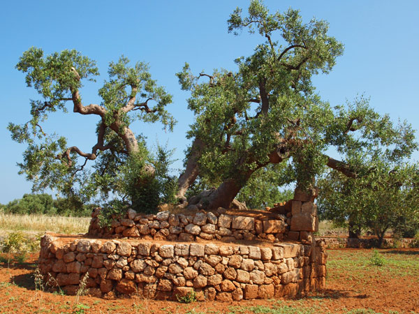 Highlights of Puglia cycling vacation