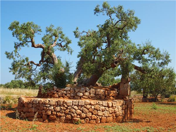 Highlights of Puglia cycling vacation
