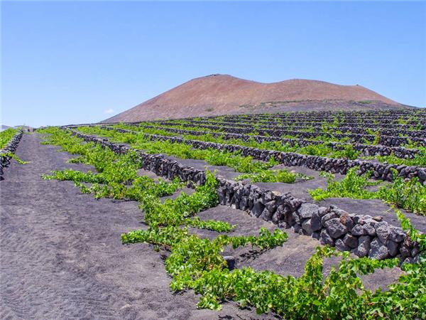 Lanzarote walking vacation in Canary Islands