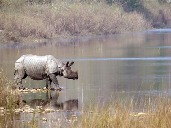 Highlights of Assam and Nagaland vacation