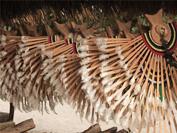 Highlights of Assam and Nagaland vacation