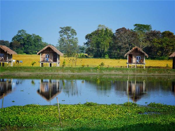 Highlights of Assam and Nagaland vacation