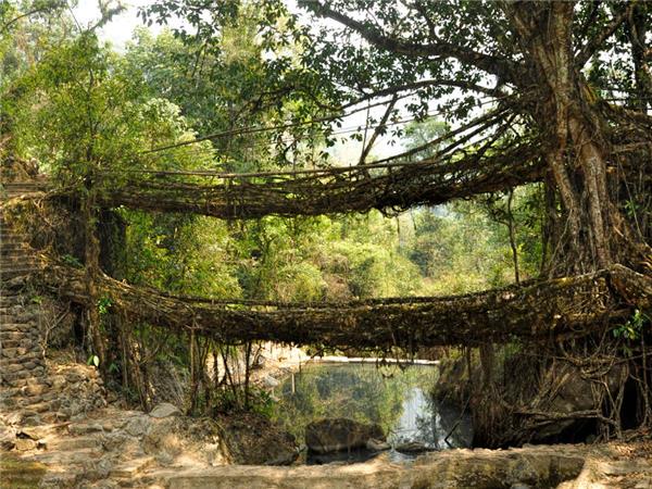 Highlights of Assam and Nagaland vacation