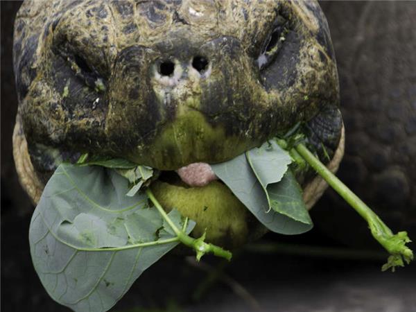 Small group vacation to Machu Picchu and Galapagos