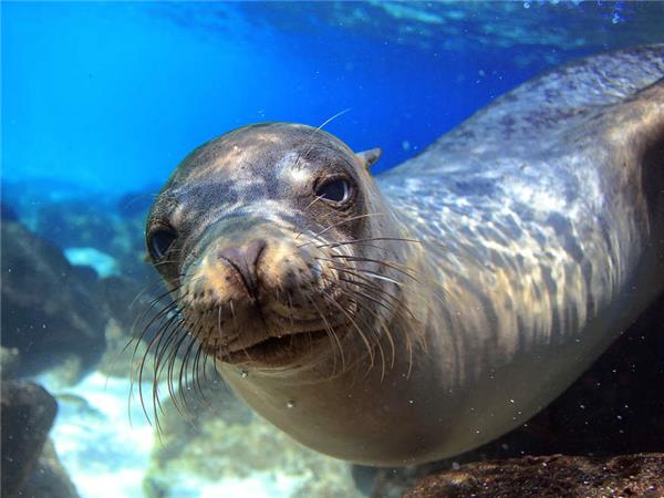 Small group vacation to Machu Picchu and Galapagos