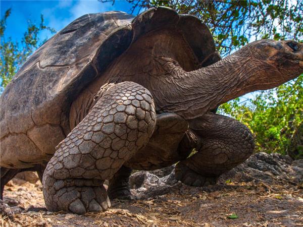 Small group vacation to Machu Picchu and Galapagos