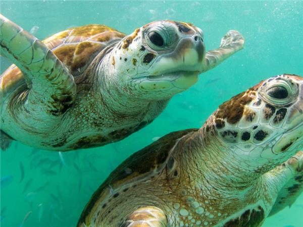 Small group vacation to Machu Picchu and Galapagos