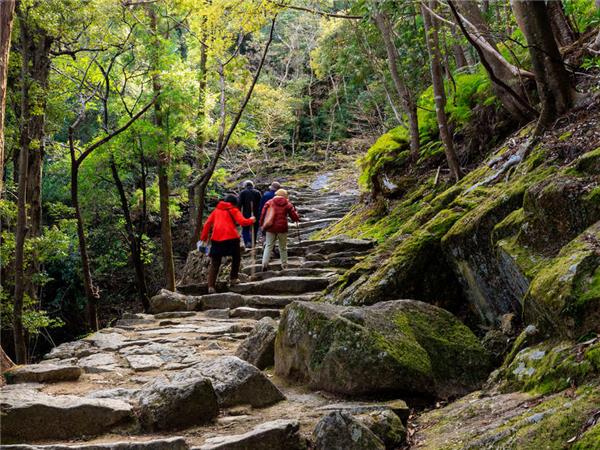 Kumano Kodo Trail Japan walking vacation