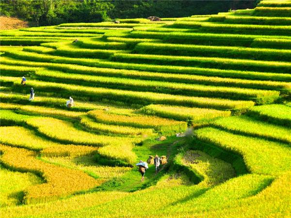 Vietnam walking vacation, one foot in Vietnam