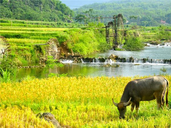 Vietnam walking vacation, one foot in Vietnam