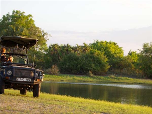 Tanzania wildlife vacation, Serengeti safari