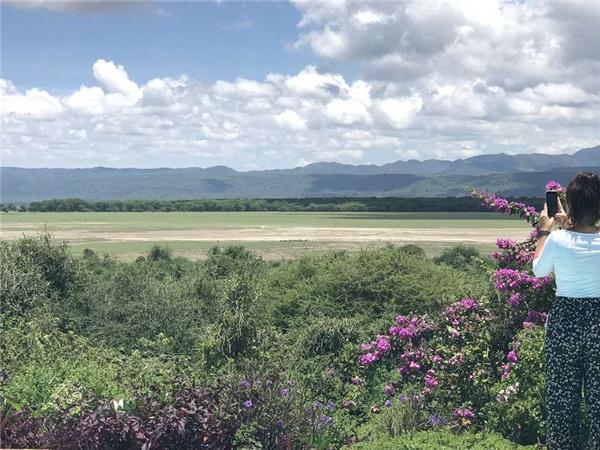 Tanzania wildlife vacation, Serengeti safari