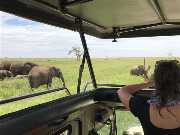 Tanzania wildlife vacation, Serengeti safari