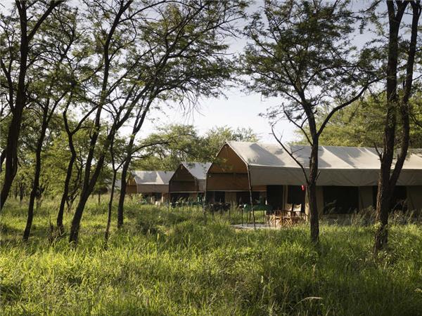 Tanzania wildlife vacation, Serengeti safari
